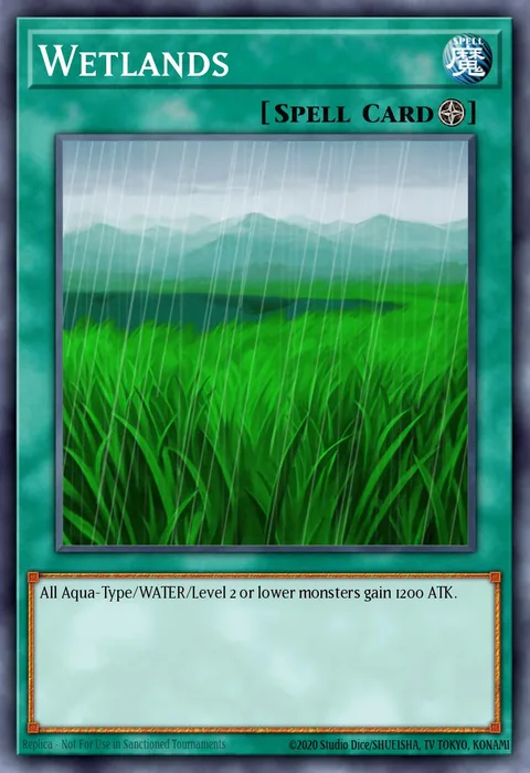 Wetlands trading card