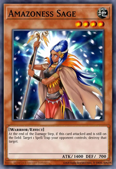 Amazoness Sage trading card