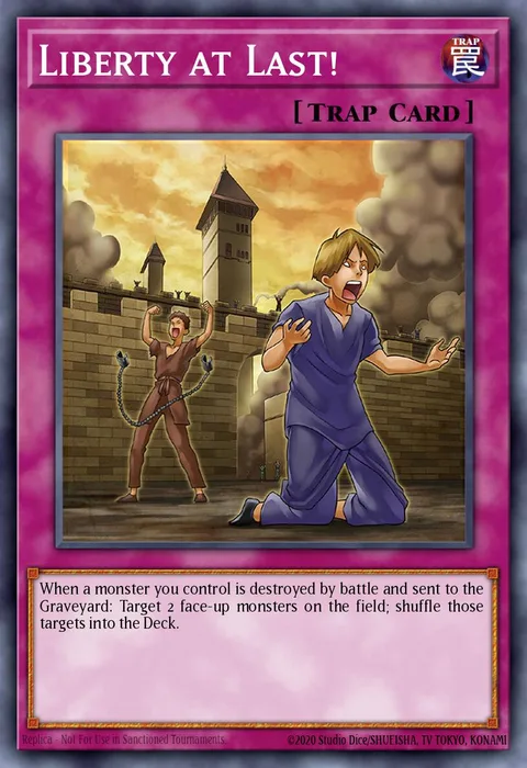 Liberty at Last! trading card