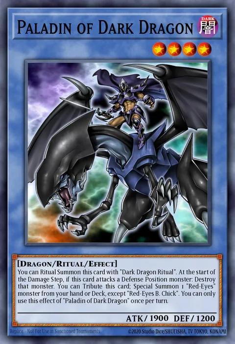 Paladin of Dark Dragon trading card