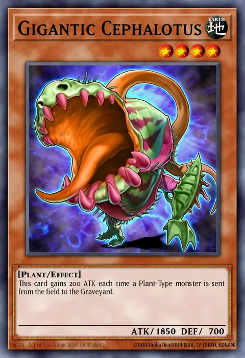 Gigantic Cephalotus trading card