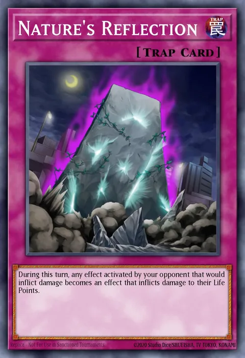 Nature's Reflection trading card