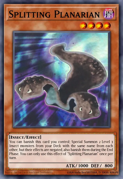 Splitting Planarian trading card
