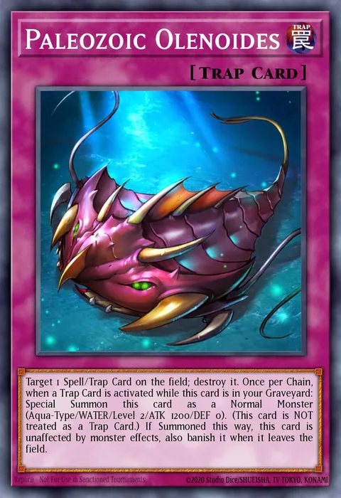 Paleozoic Olenoides trading card