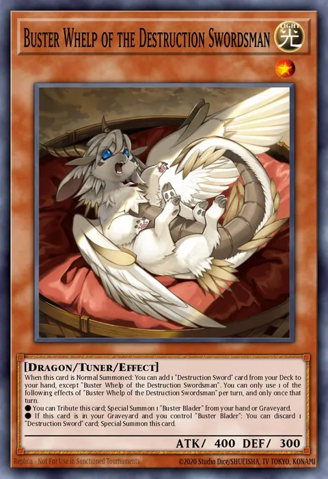 Buster Whelp of the Destruction Swordsman trading card