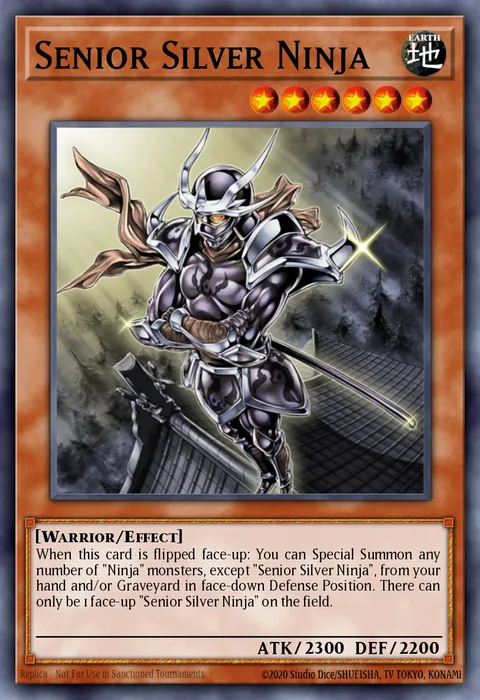 Senior Silver Ninja trading card