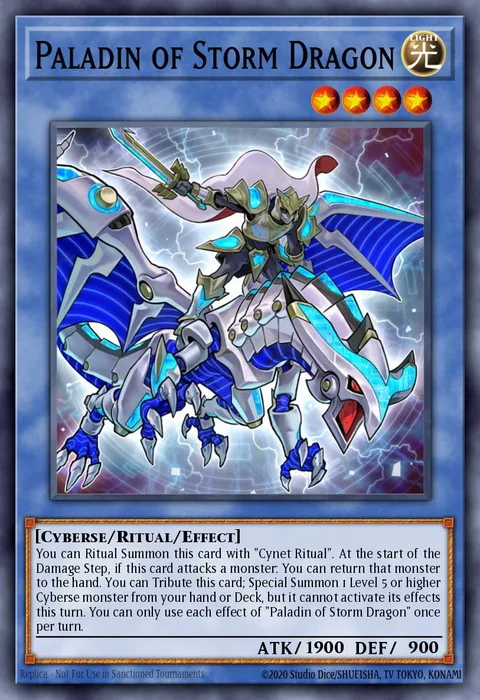 Paladin of Storm Dragon trading card