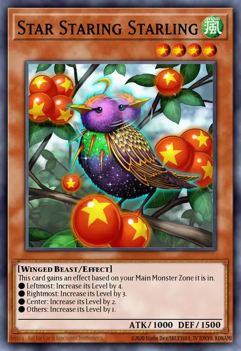 Star Staring Starling trading card