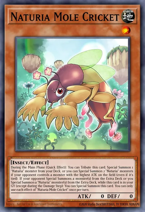 Naturia Mole Cricket trading card
