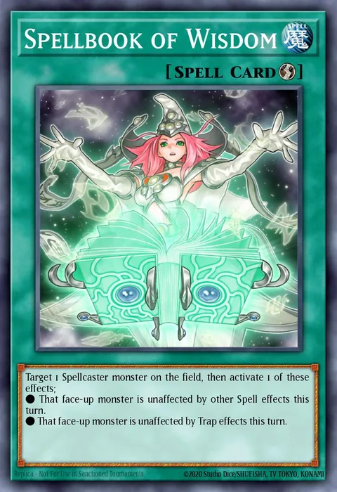 Spellbook of Wisdom trading card