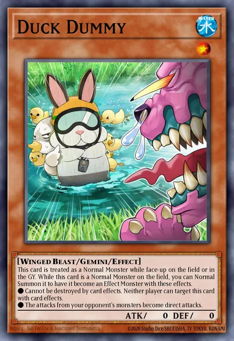 Duck Dummy trading card