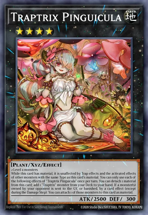Traptrix Pinguicula trading card