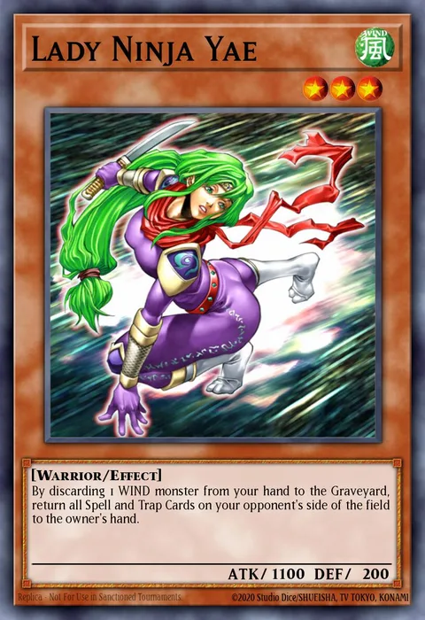 Lady Ninja Yae trading card