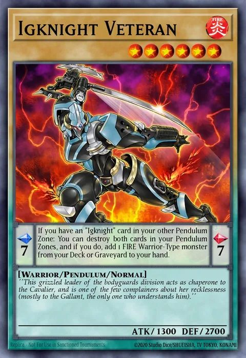 Igknight Veteran trading card