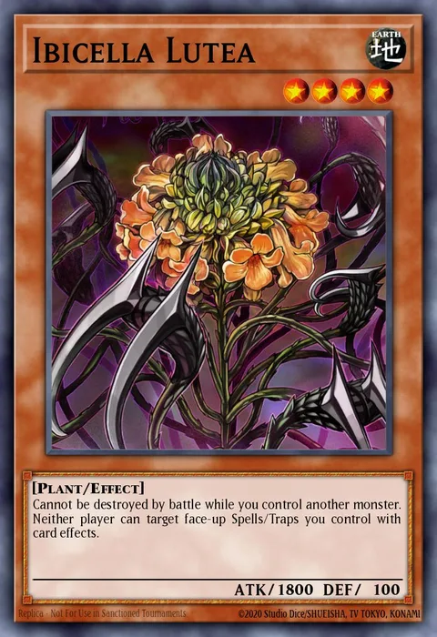 Ibicella Lutea trading card