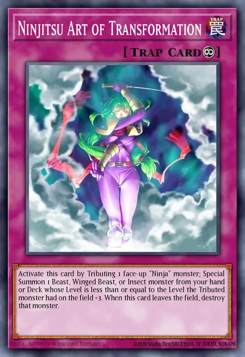 Ninjitsu Art of Transformation trading card