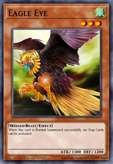 Eagle Eye trading card