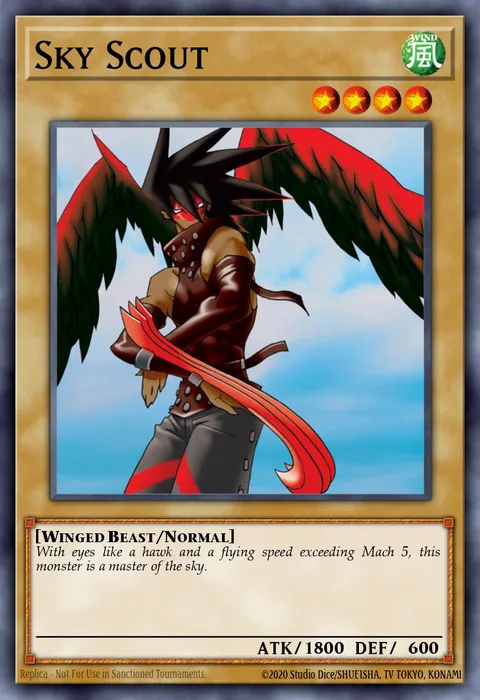 Sky Scout trading card